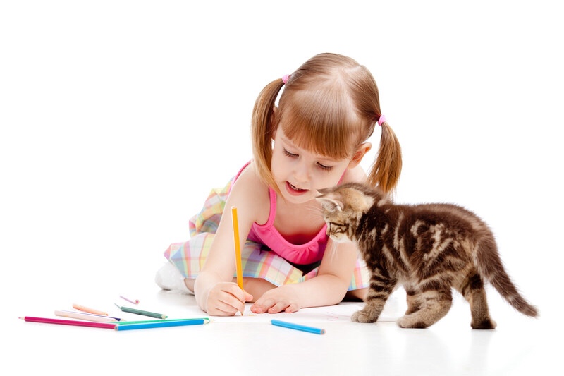 Little girl drawing with her cat watching.