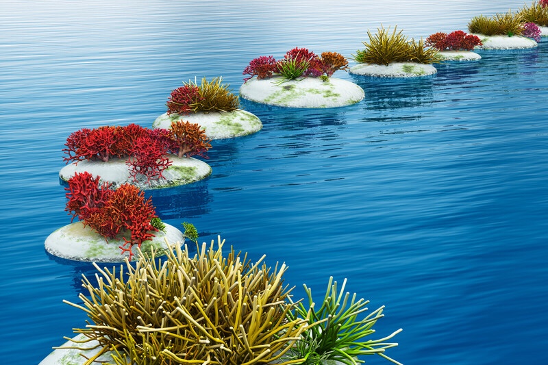 A path of stones going across water.