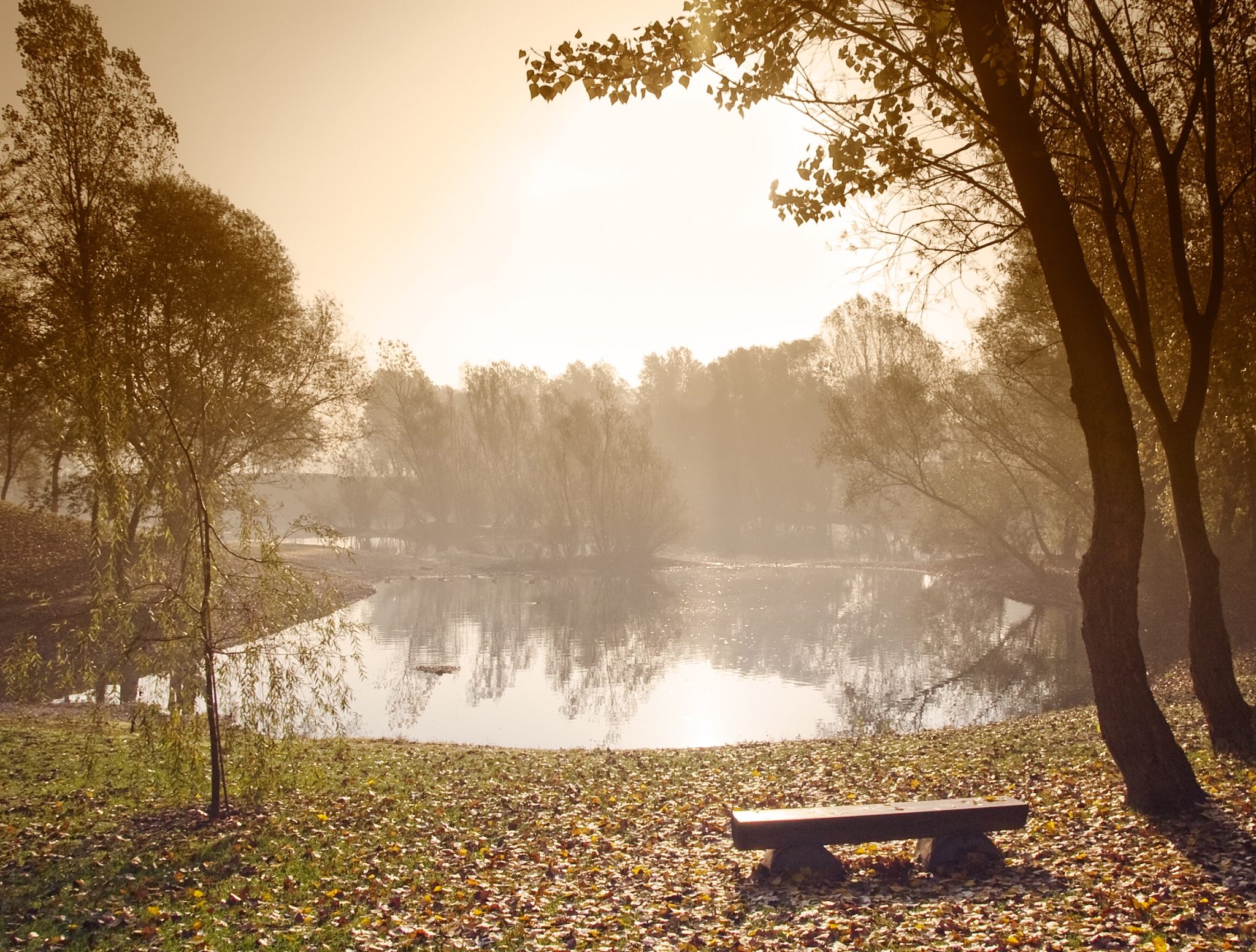 Peaceful lake in the morning.