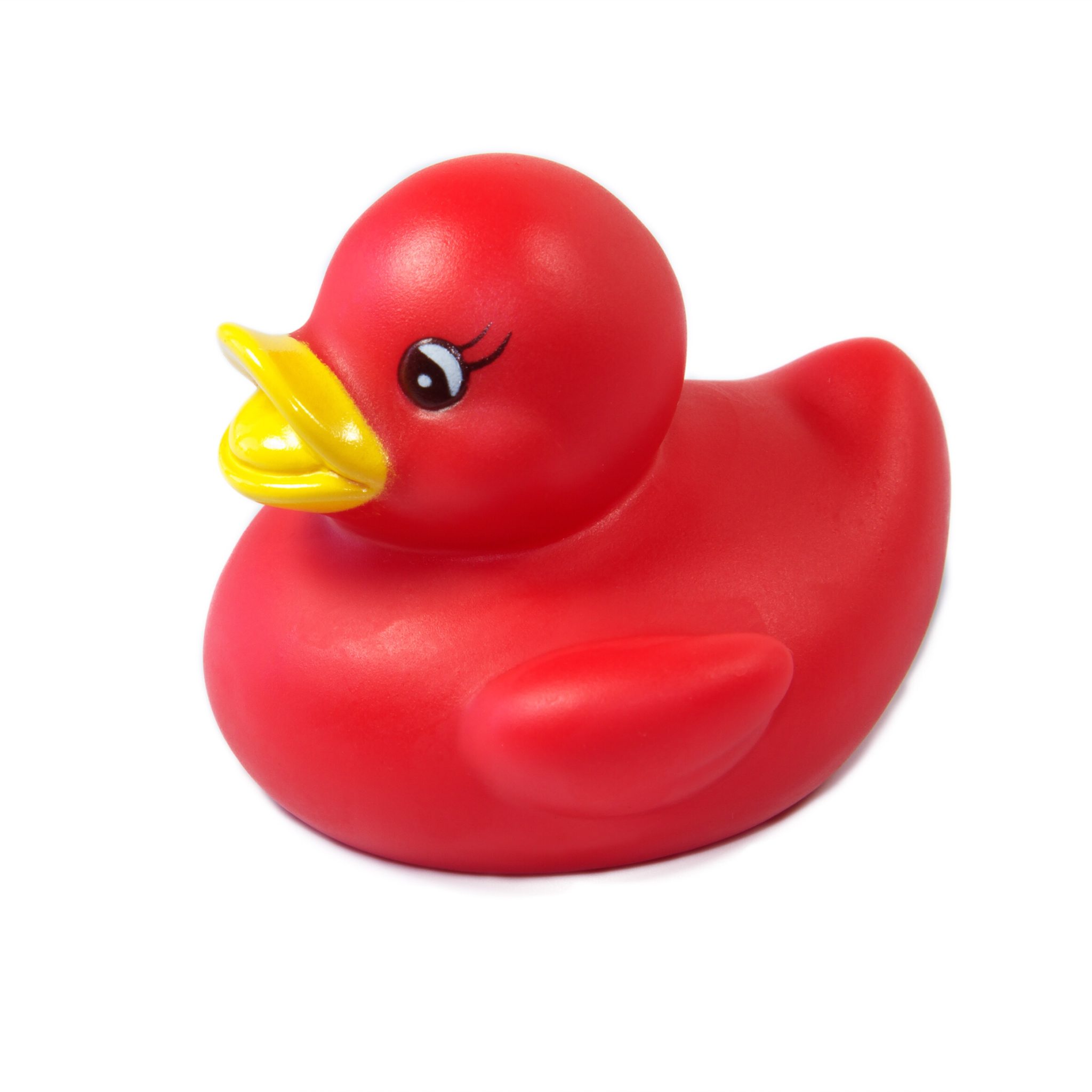 Red rubber ducky.