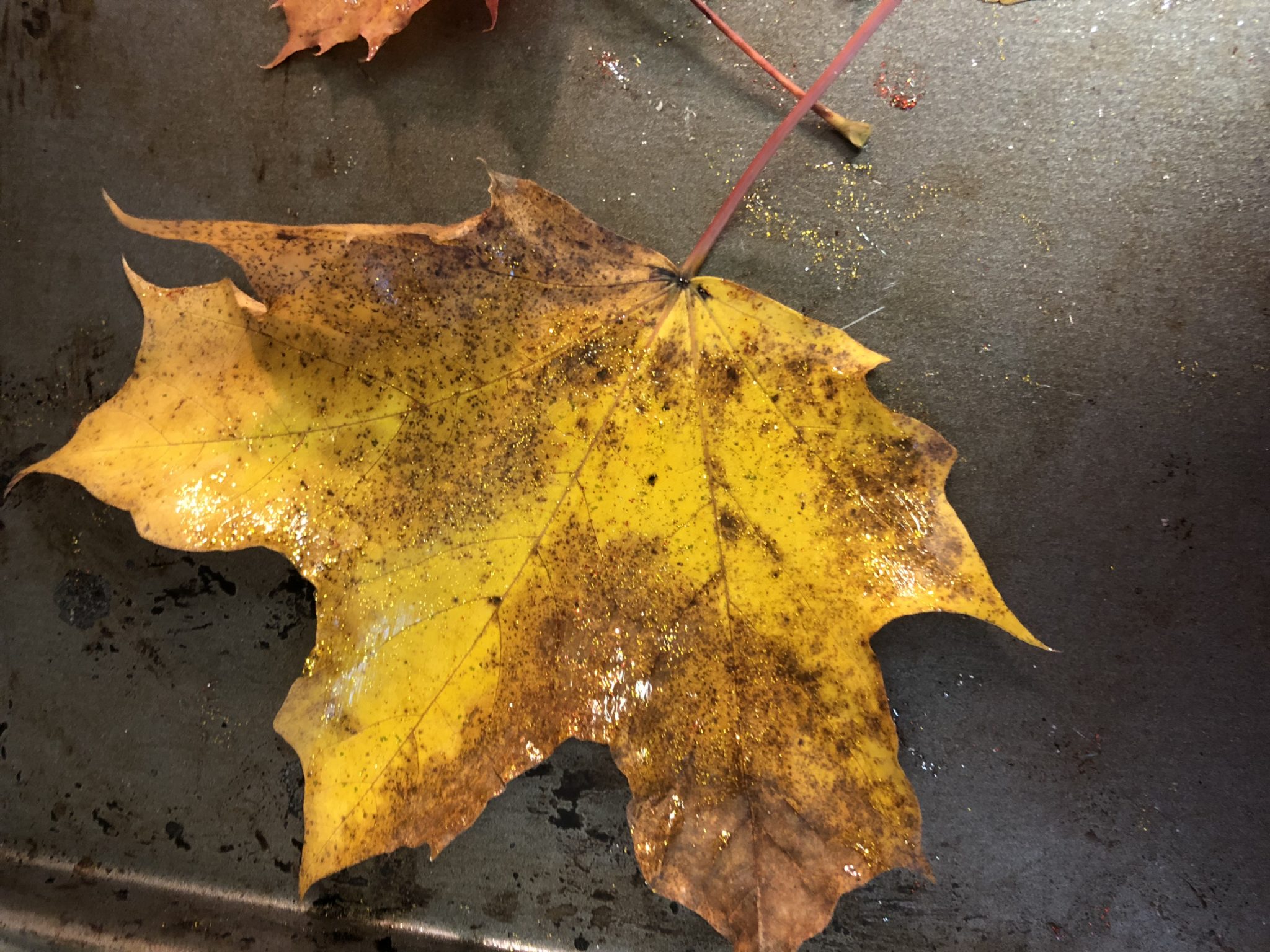 Close up of glitter leaf