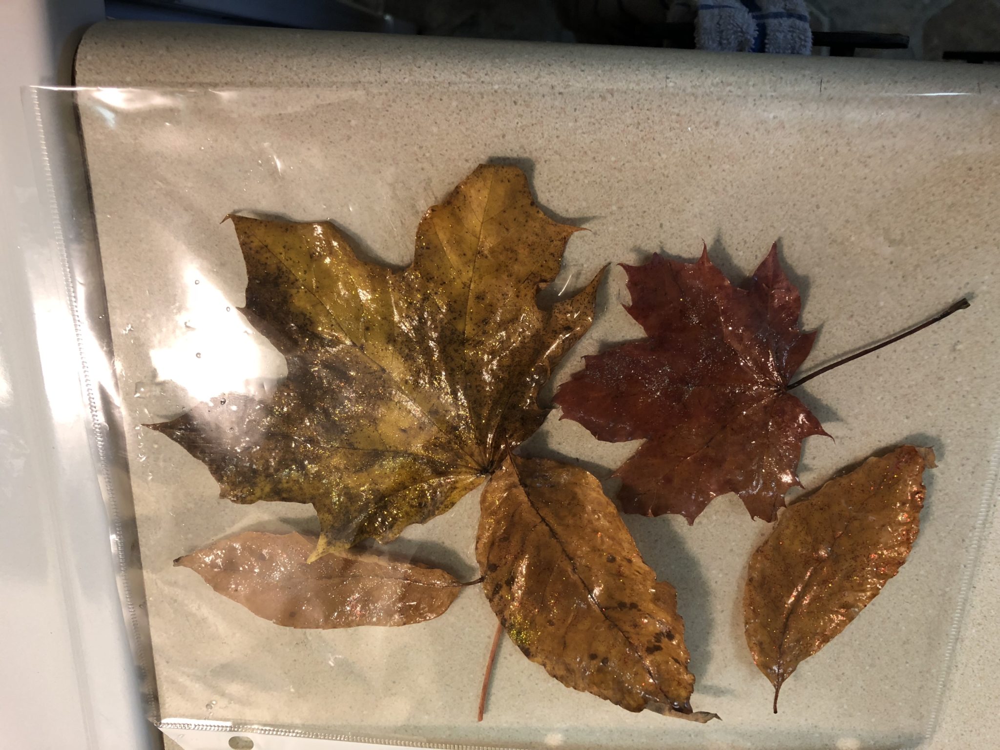 Leaves inside sheet protector.