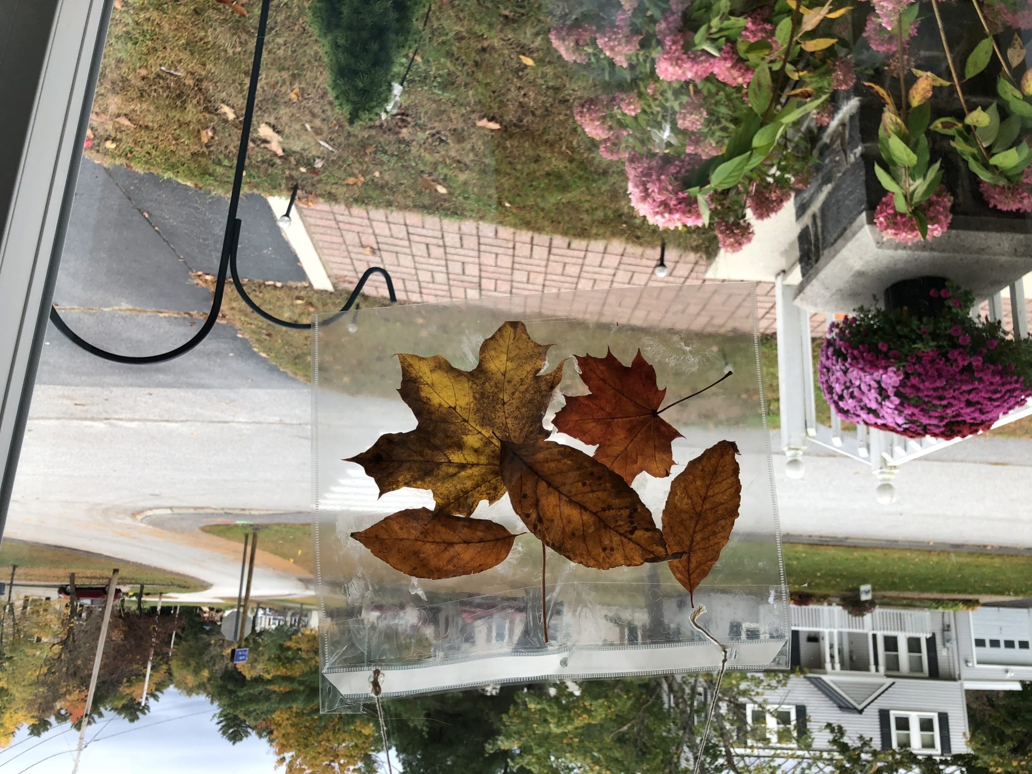 Sun catcher in window on cloudy day.