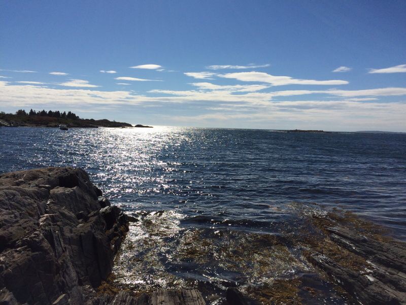 A rocky beach