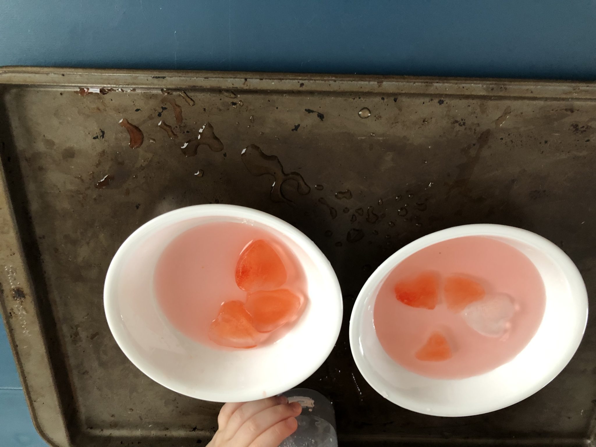Bowls side by side with water and ice in both