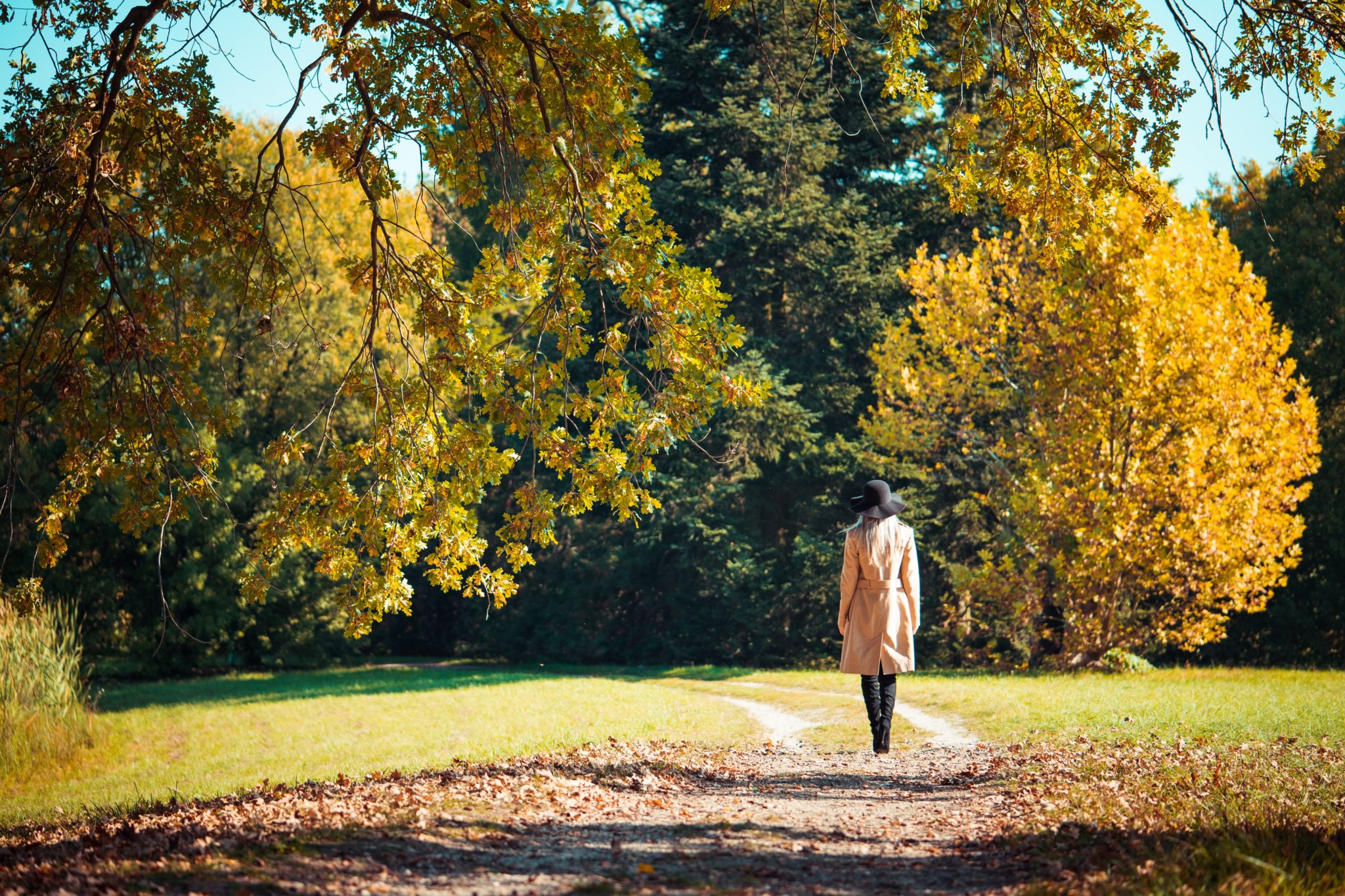 Woman walking in park enjoying nature