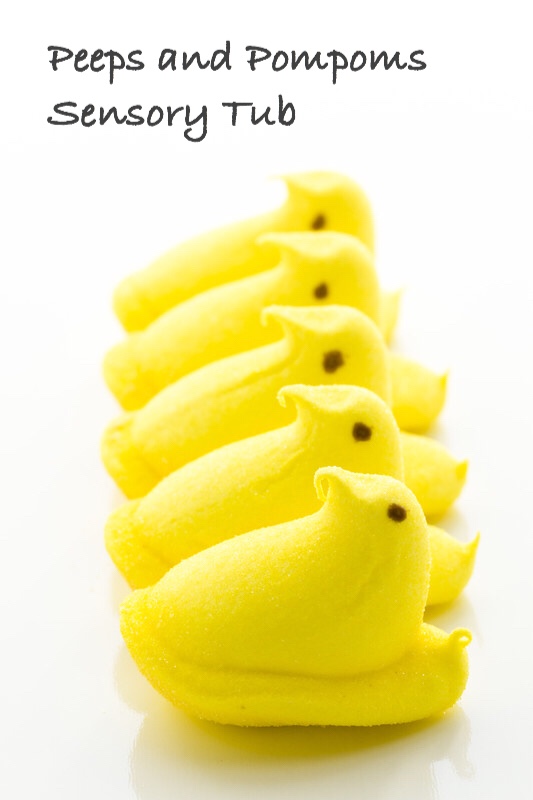 Peeps and Pompoms Sensory Tub pin