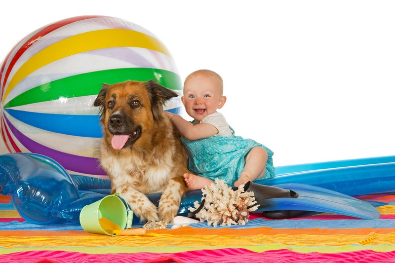 Baby playing with dog on the beach.