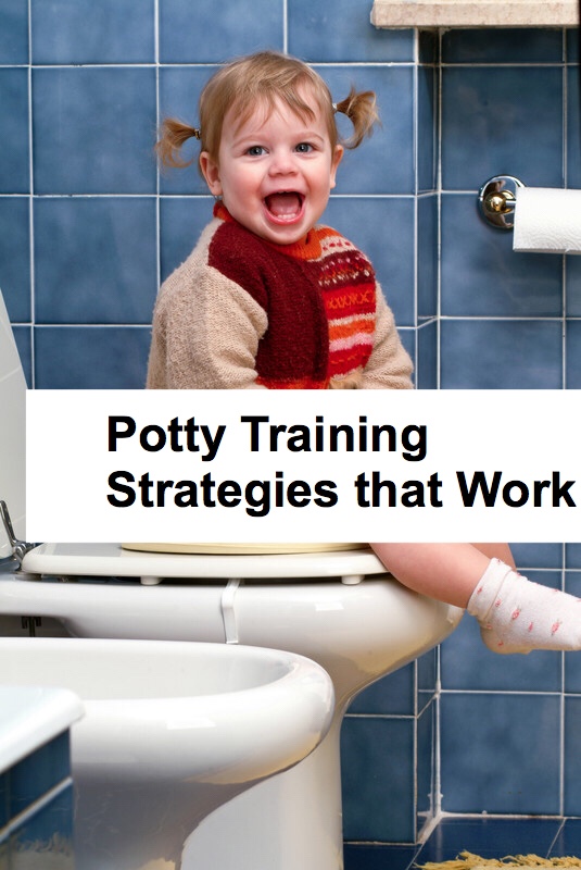 Potty Training Strategies pin