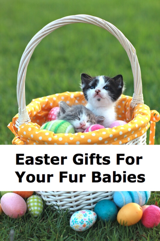 Easter Gift Ideas for your Fur Babies cat basket pin