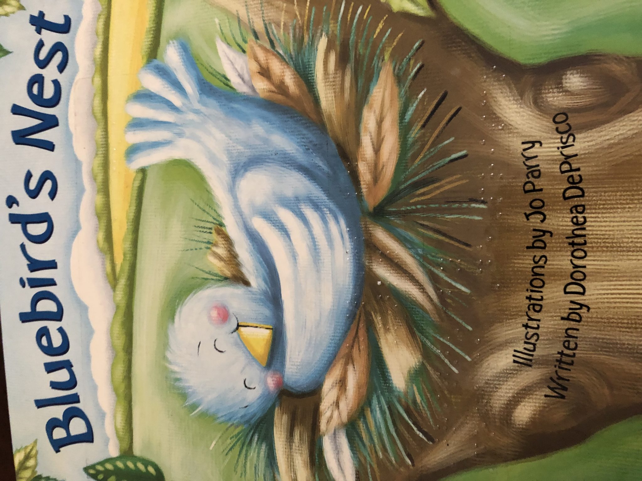 Bluebird’s Nest book cover