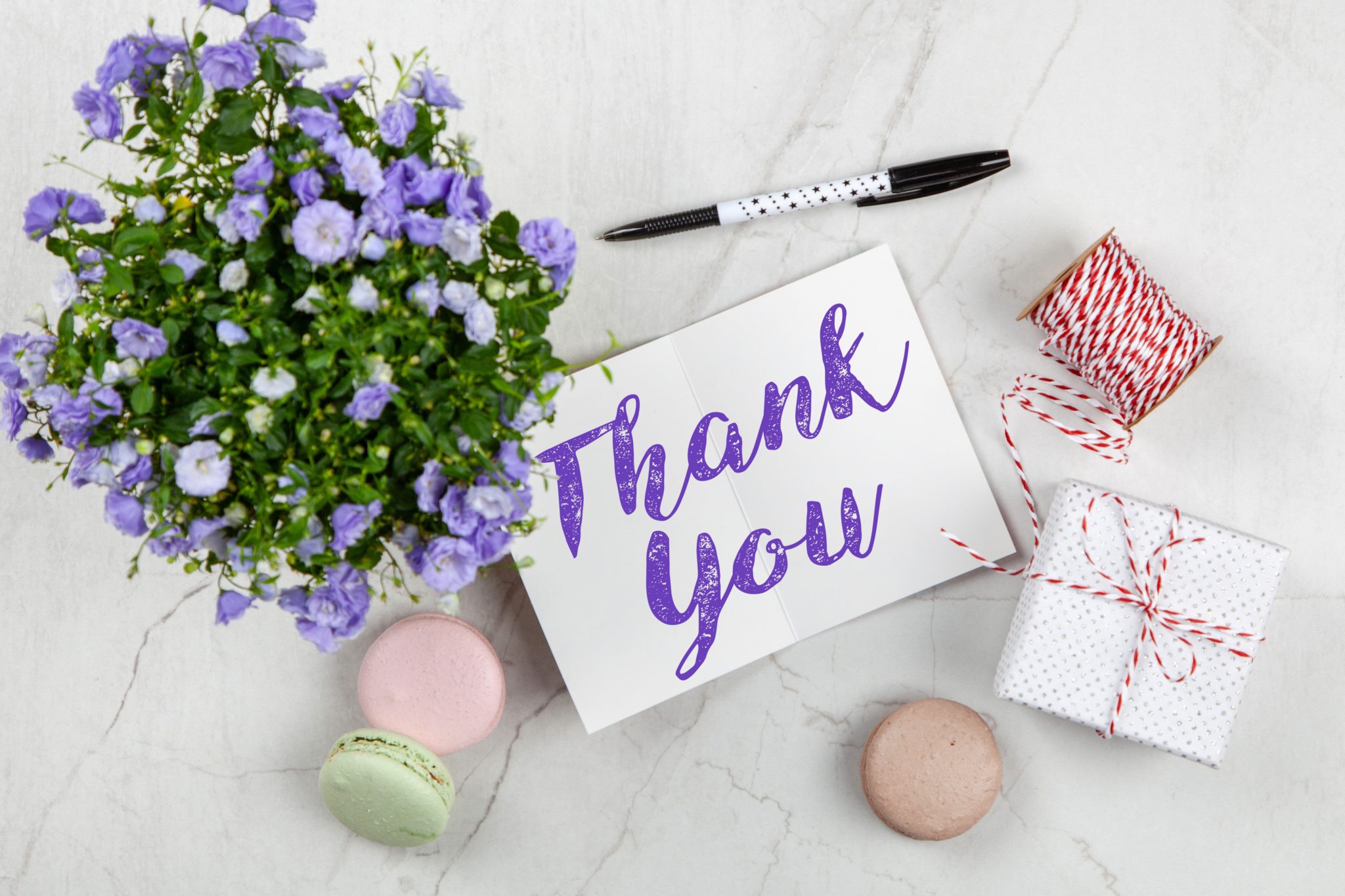 Purple flowers next to a thank you card