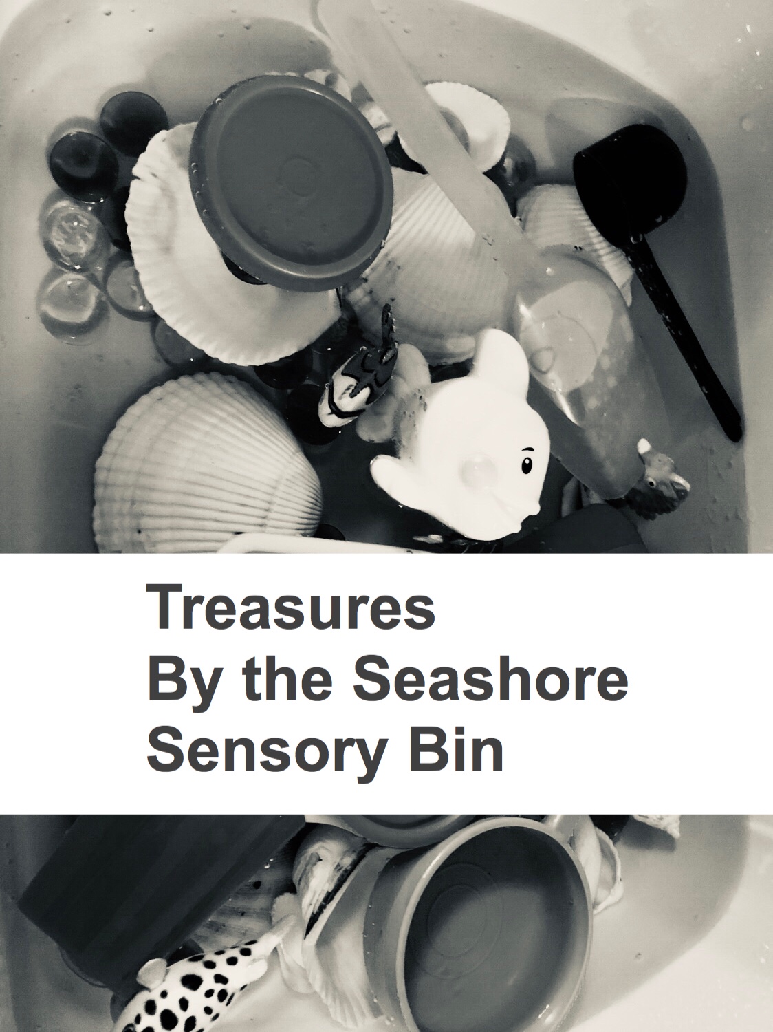 Treasures by the Seashore Sensory bin Pin