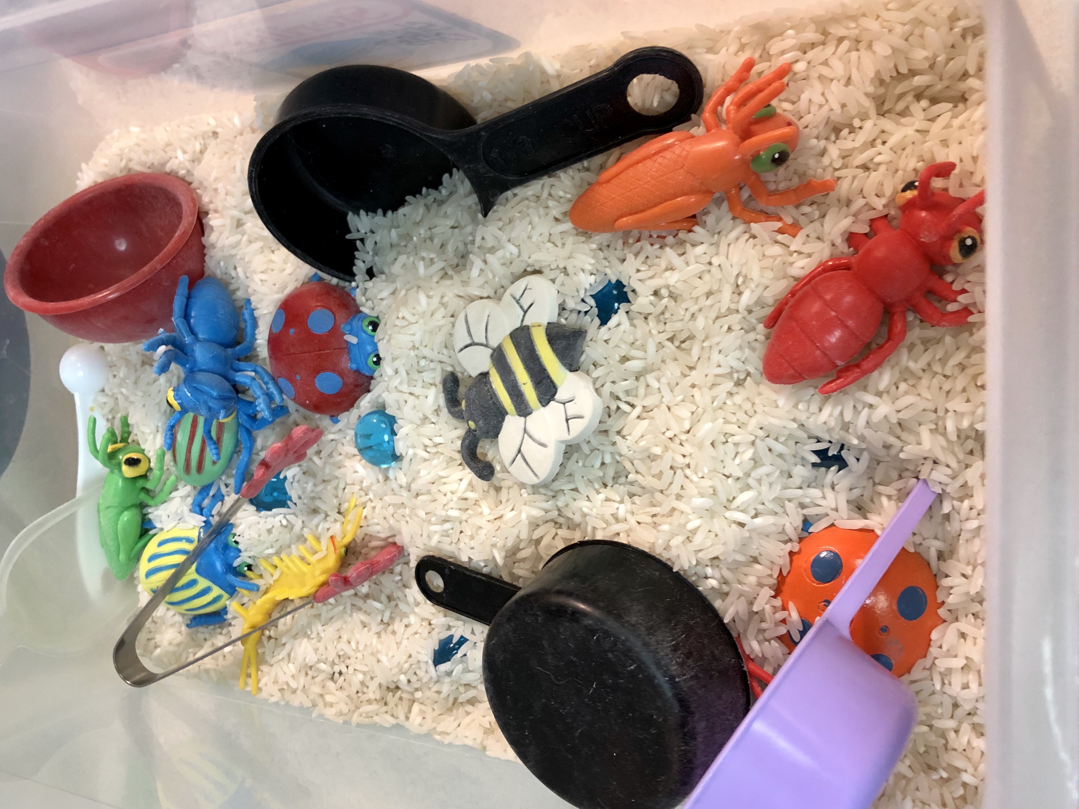 Rice & Bugs sensory Bin