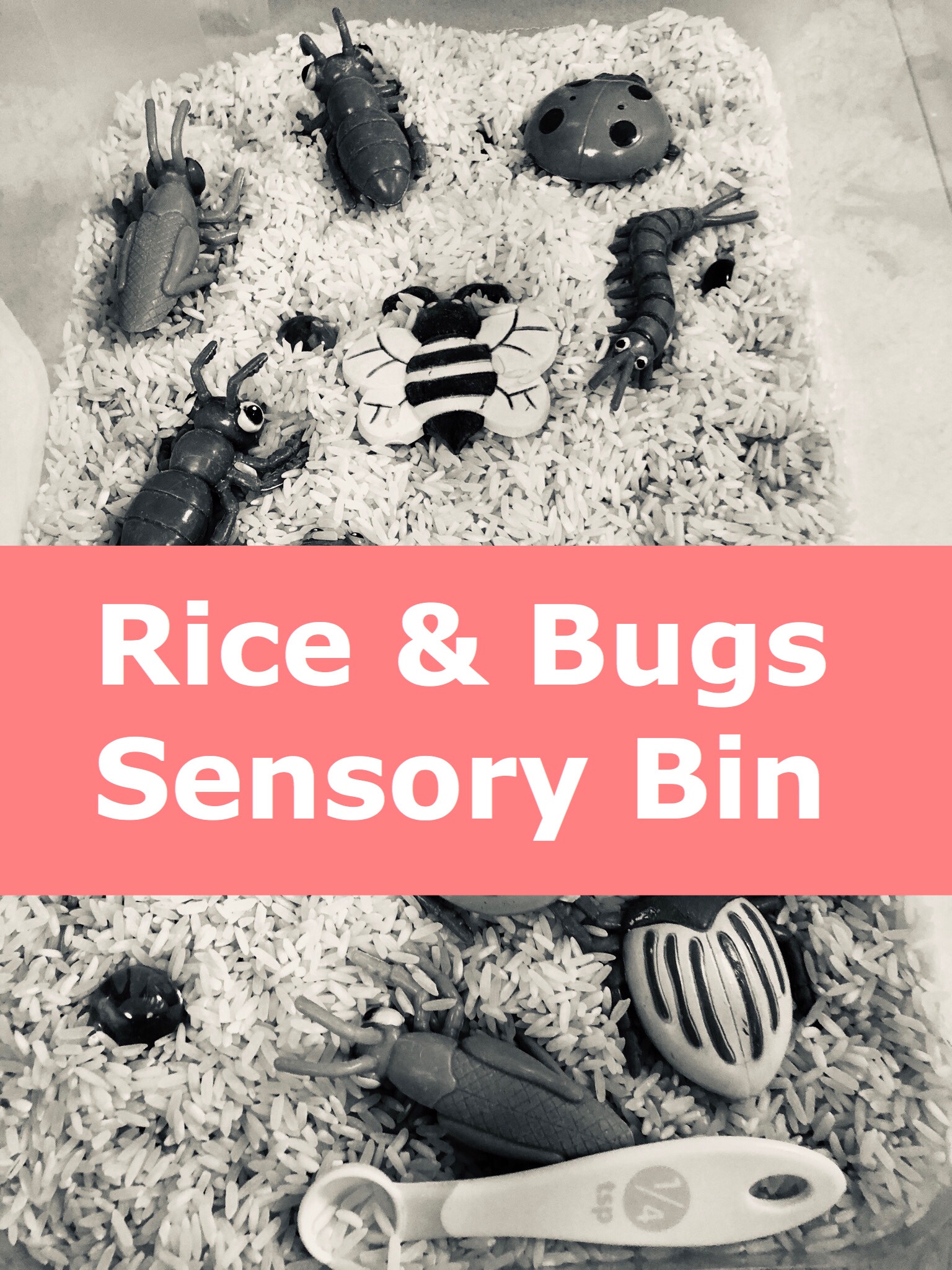 Rice & Bugs Sensory Bin pin