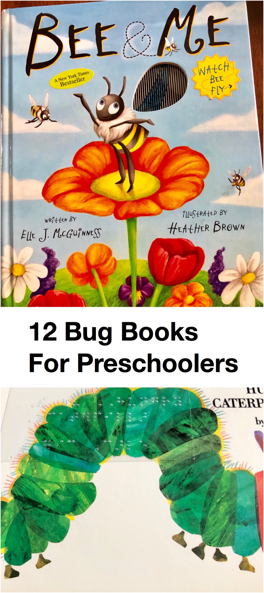 12 Bug Books for Preschoolers pin