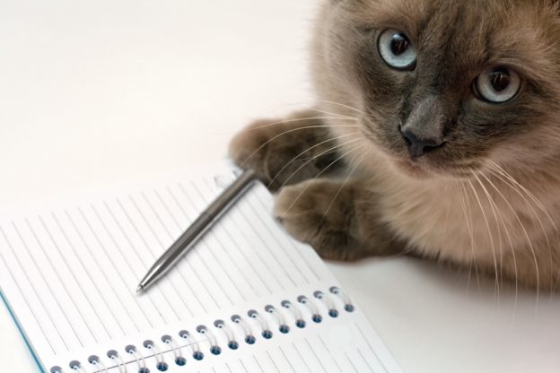 Cat, pen and blank open notepad – A Flourishing Rose
