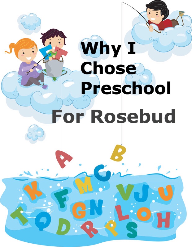 Why I chose preschool for Rosebud pin