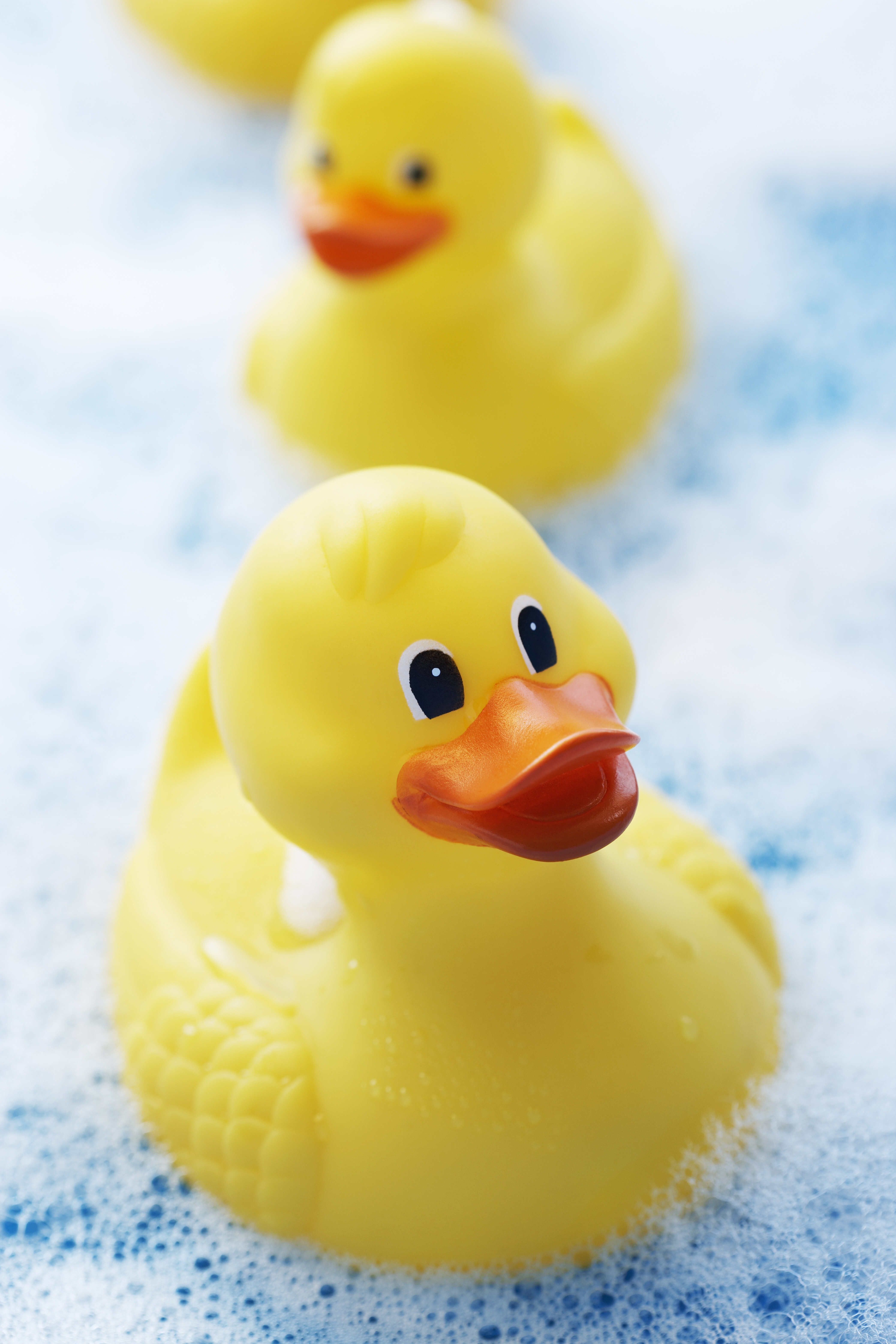 Rubber ducks in bubble bath