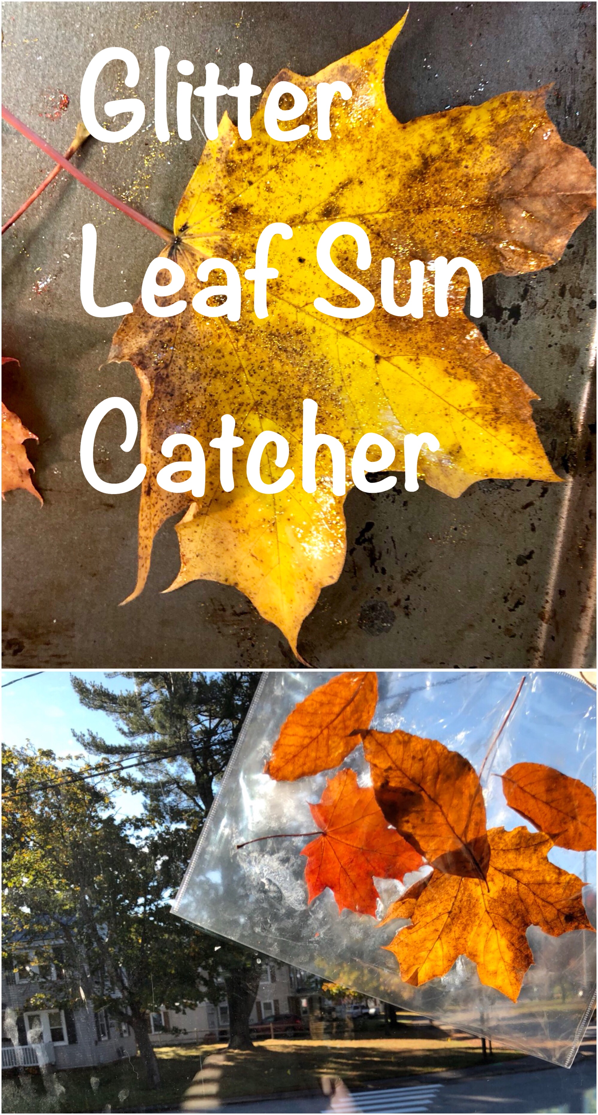 Glitter Leaf Sun Catcher pin