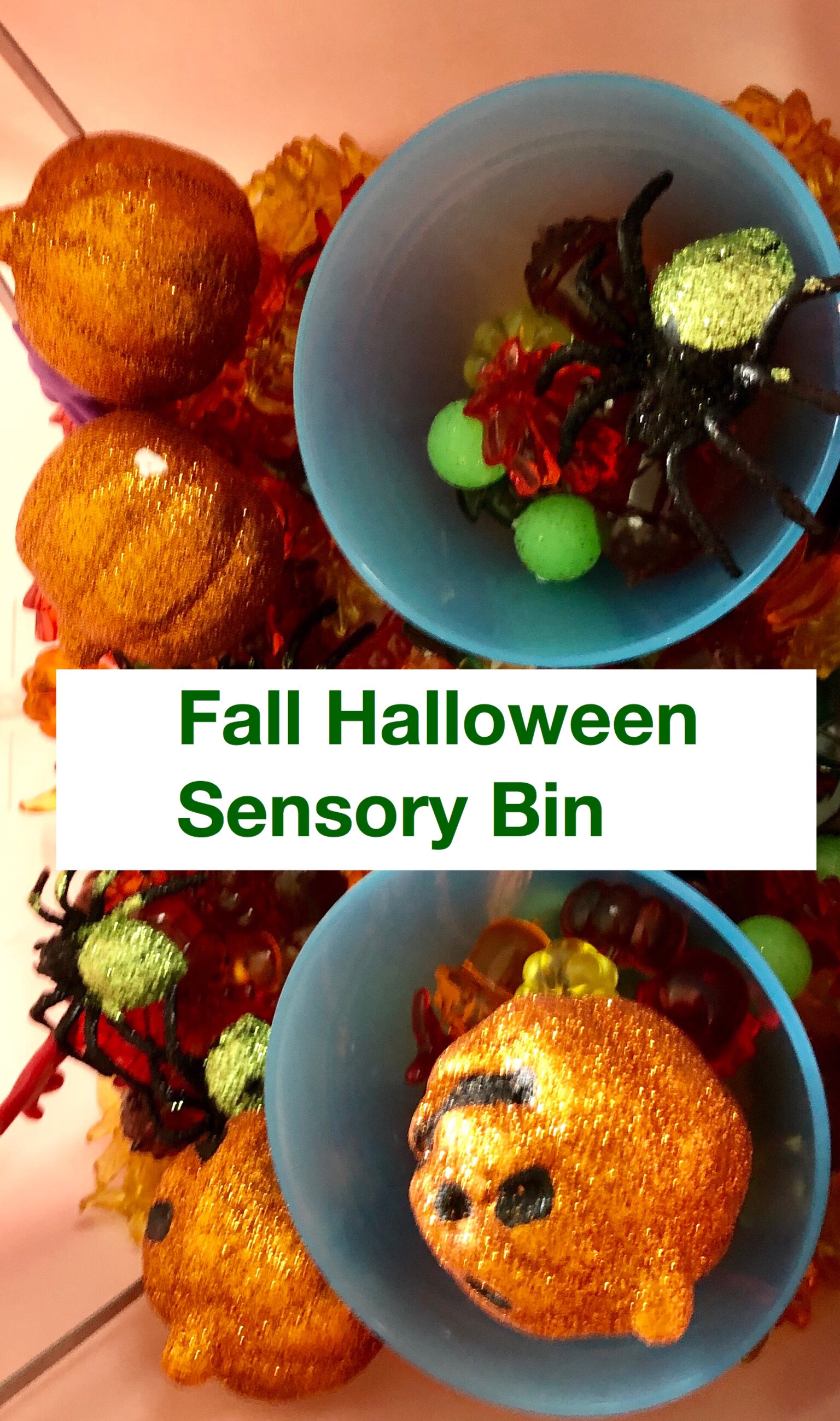 Fall Halloween Sensory bin pin