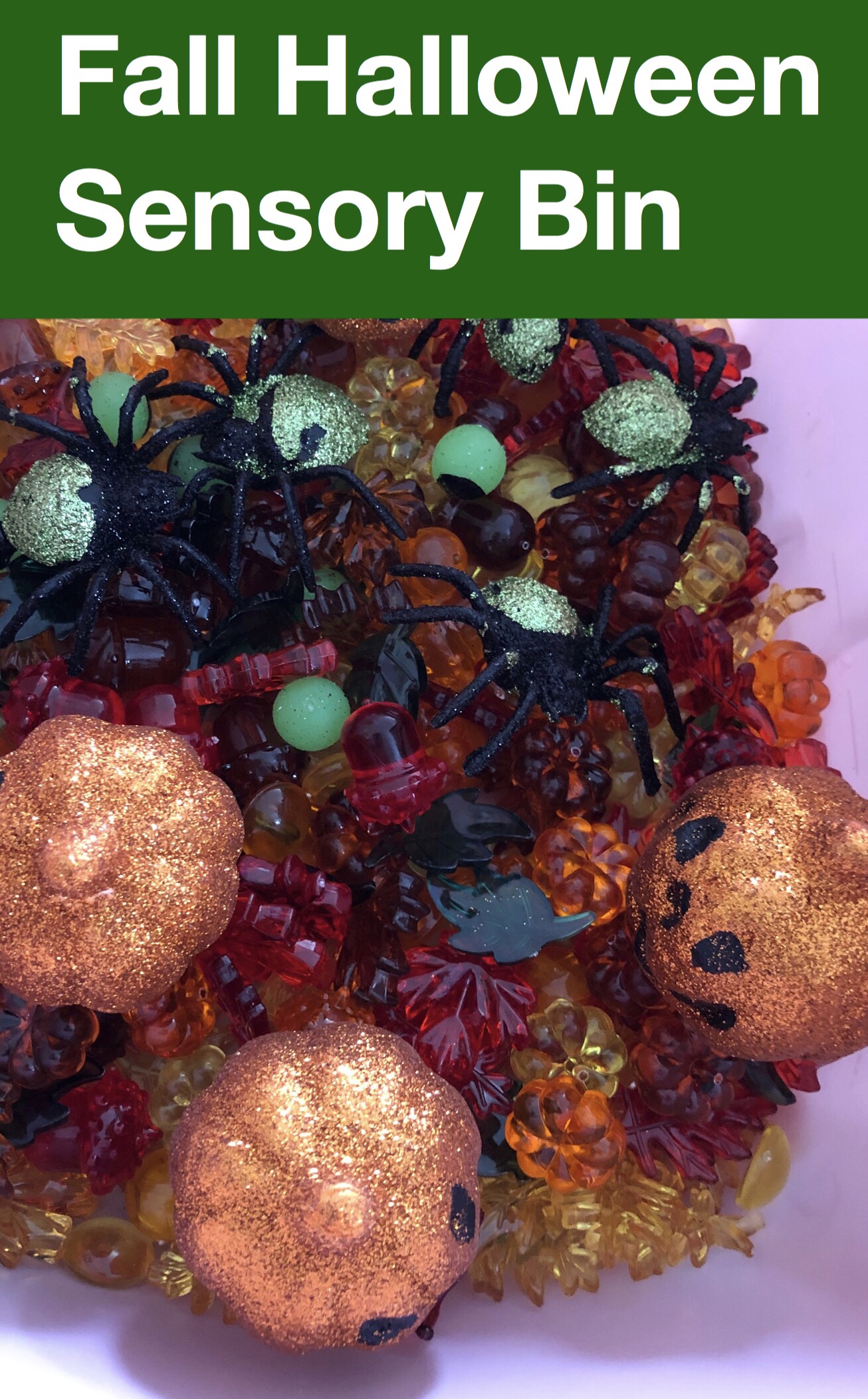 Fall Halloween Sensory Bin pin