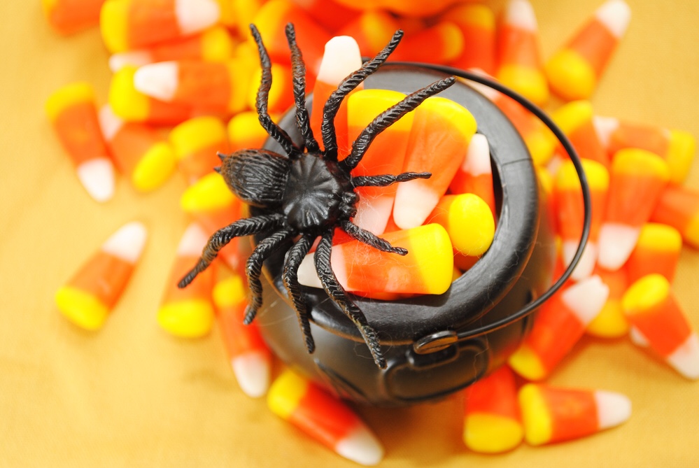 Bowl of candy corn with spider