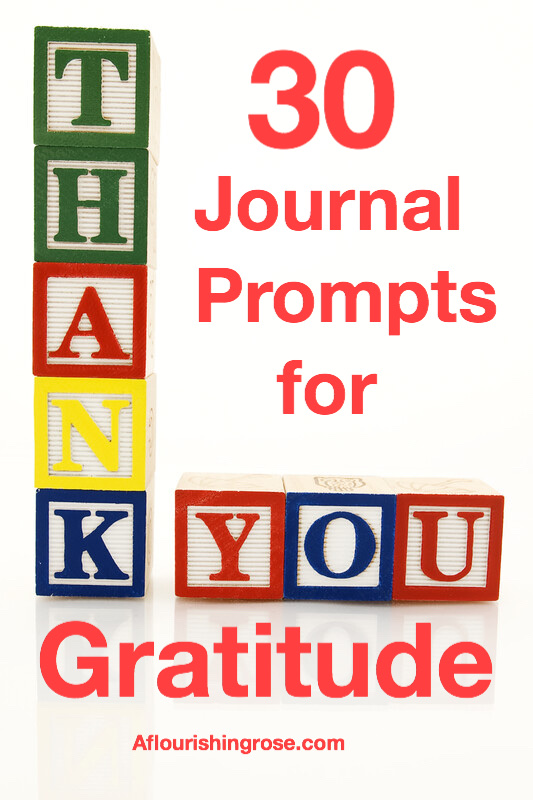 30 Journal Prompts for Gratitude pin
