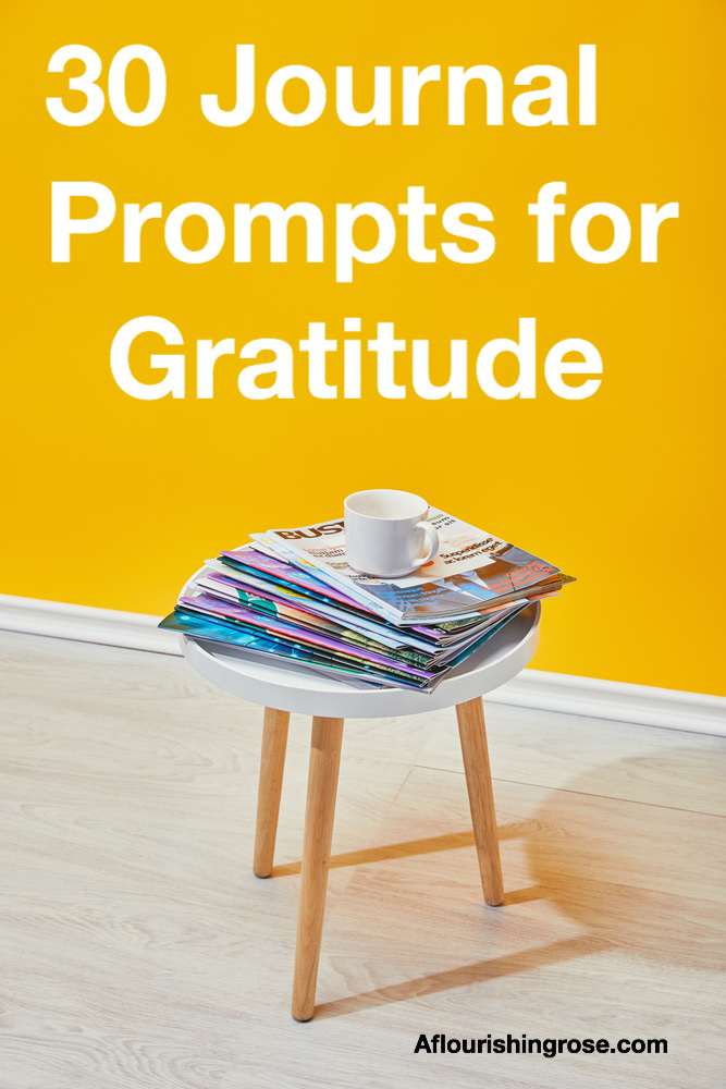 30 journal prompts for gratitude pin