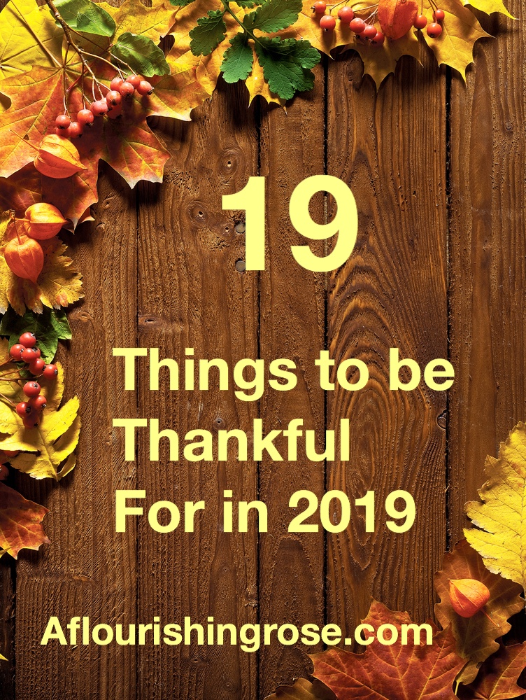 19 Things to be Thankful for in 2019