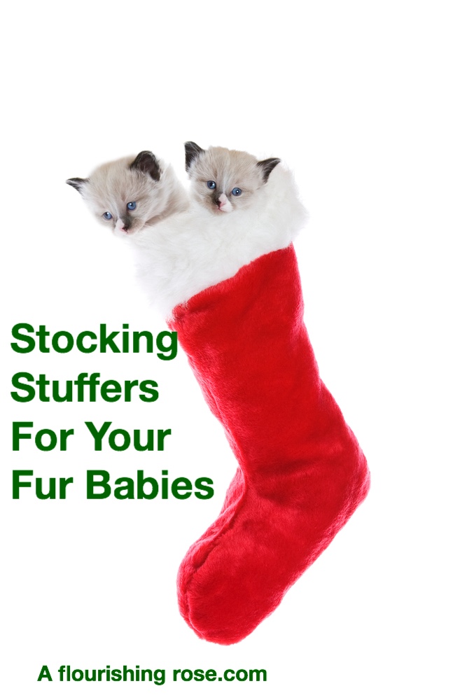 Stocking Stuffers for Your Fur Babies