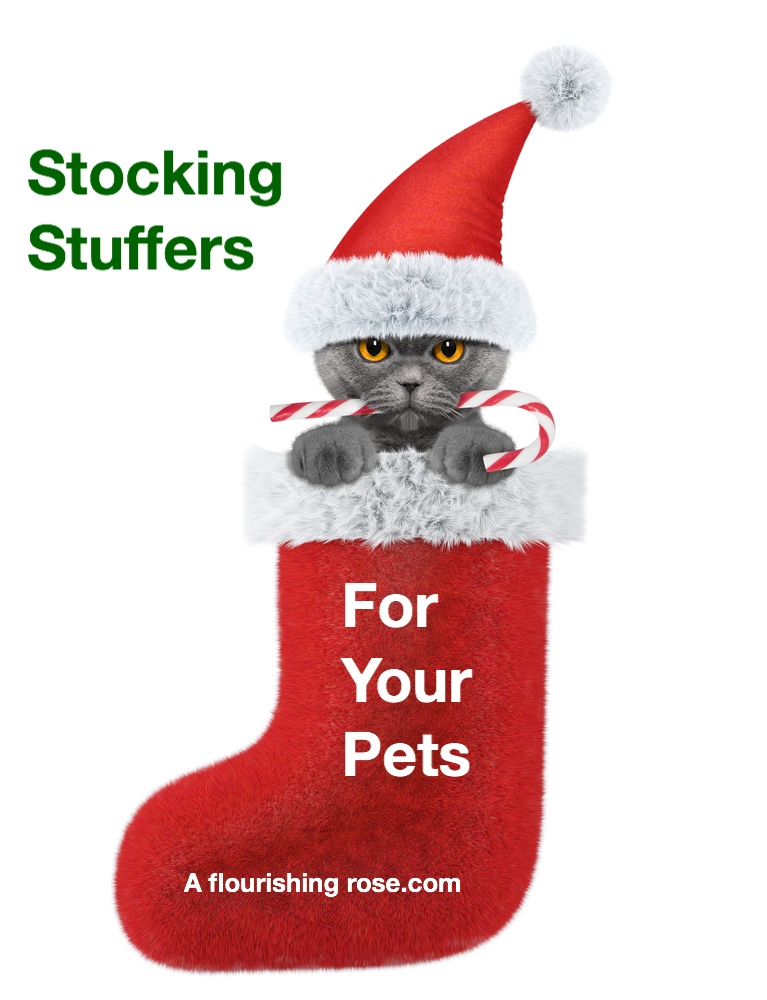 Stocking Stuffers for your Pets