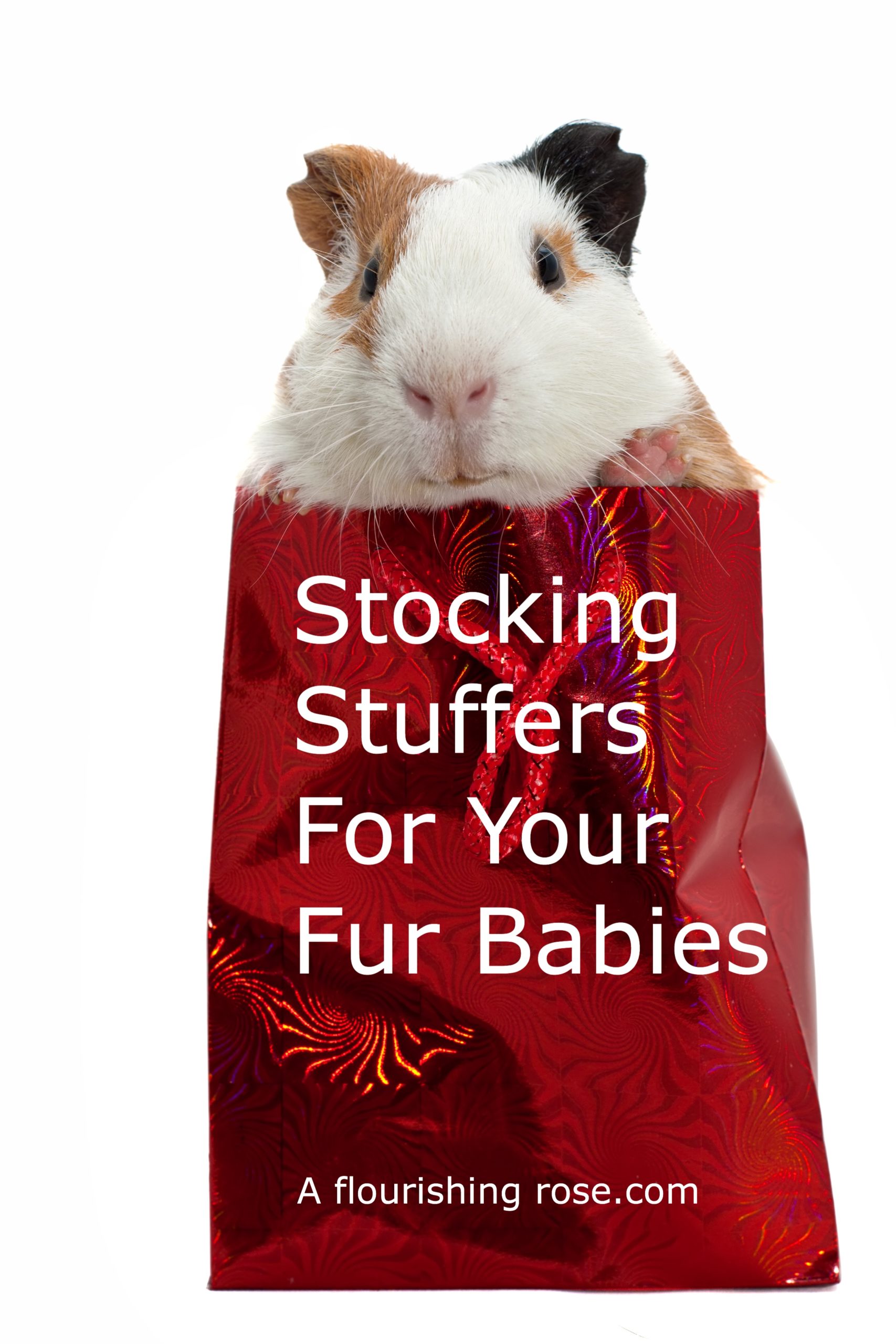 Stocking Stuffers for your Fur Babies
