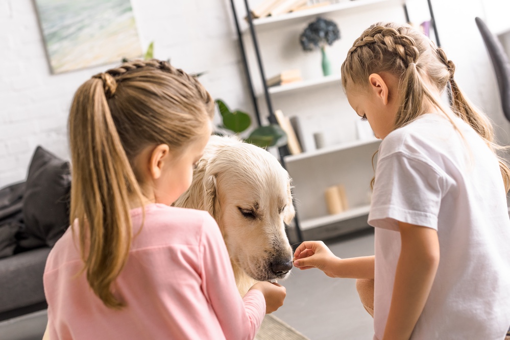 Family feeding treats to golden retriever