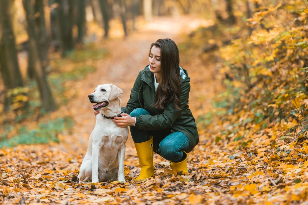 Woman adjusting dog’s collar