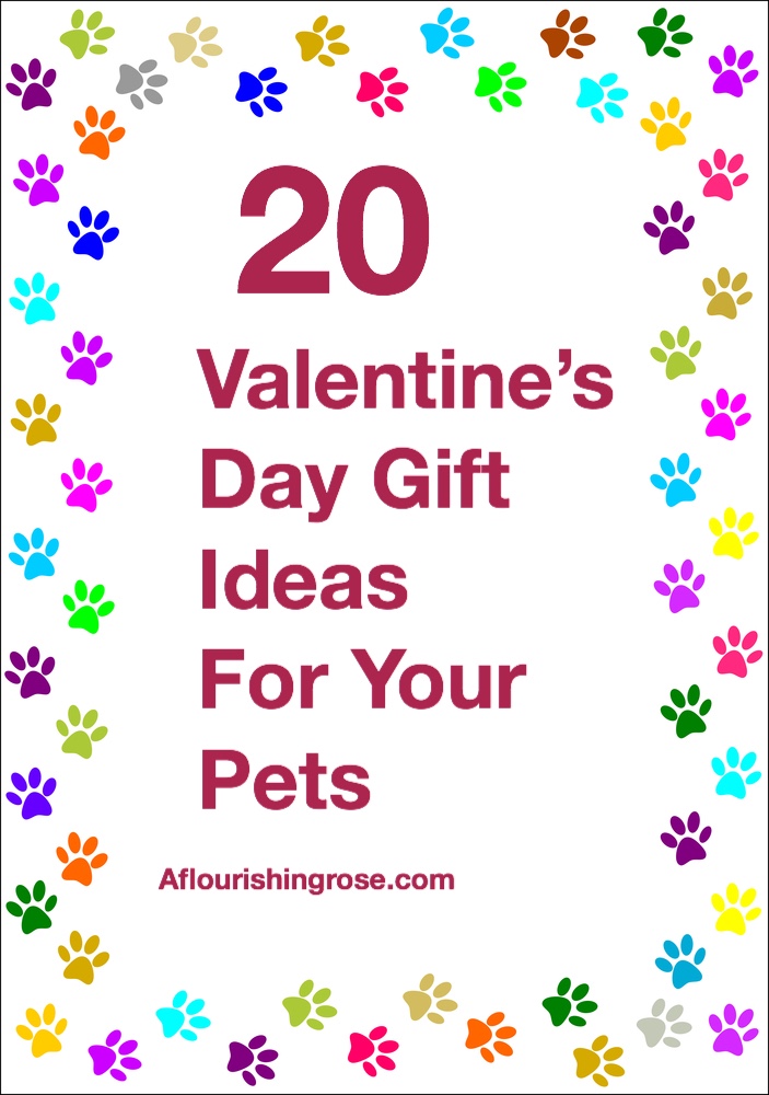 20 Valentine’s Day Gift Ideas for Your Pets