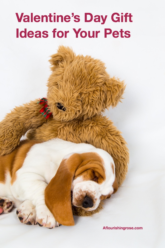 Valentine’s Day Gift Ideas for Your Pets