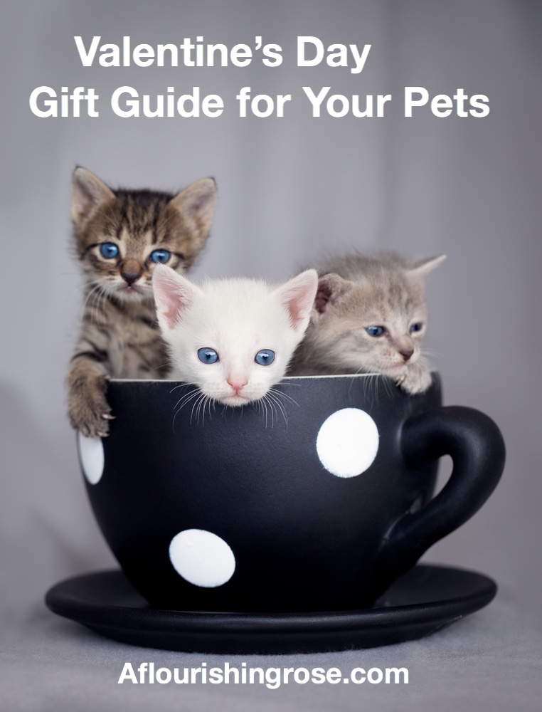 Valentine’s Day Gift Guide for Your Pets